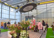 The Ball stand was filled with flower arrangements and visitors taking photos.